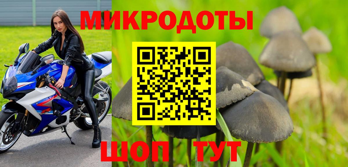 Галлюциногенные грибы прущие грибы  где можно купить наркотик  Татарск  Вход с VPN 