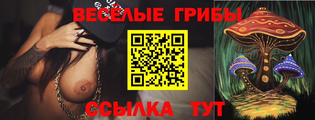 Галлюциногенные грибы MAGIC MUSHROOMS Татарск